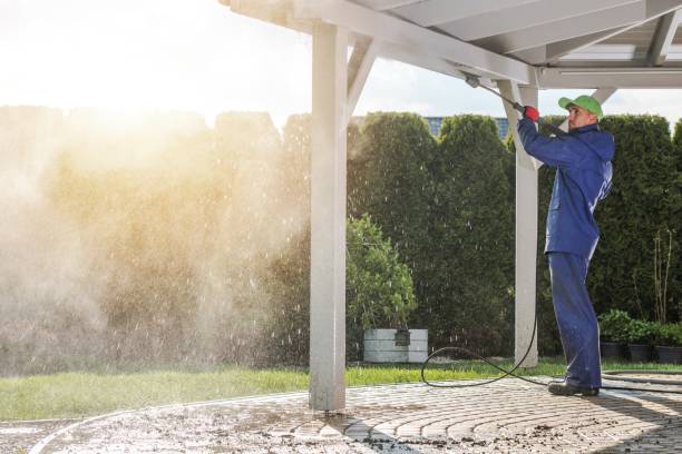 Best Driveway Cleaning and Restoration in Longmont, CO
